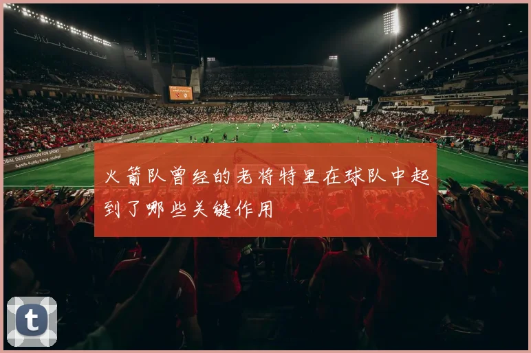 火箭队曾经的老将特里在球队中起到了哪些关键作用