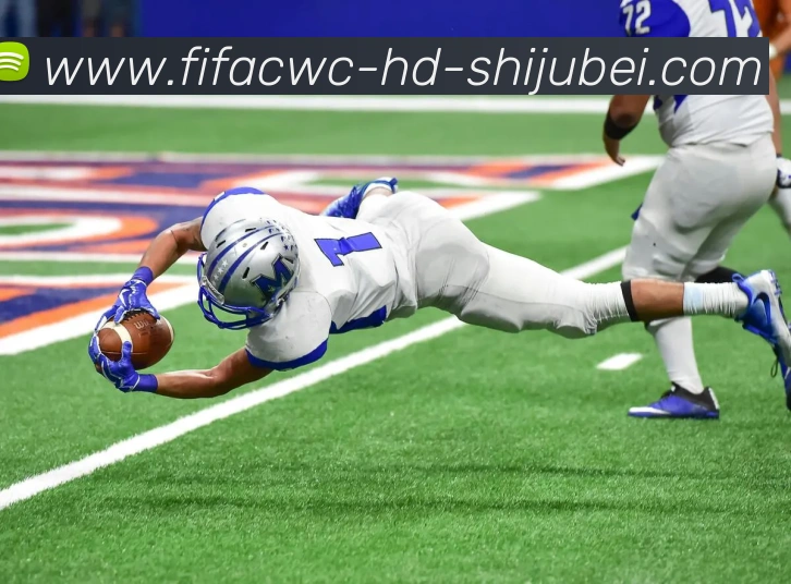 世界杯直播平台生态图