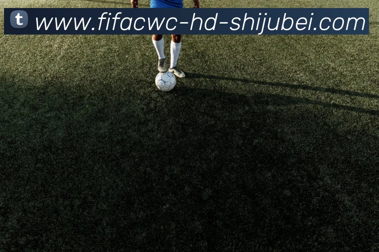 辅助工具 辅助工具